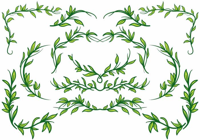 Liana Plant Border Vector