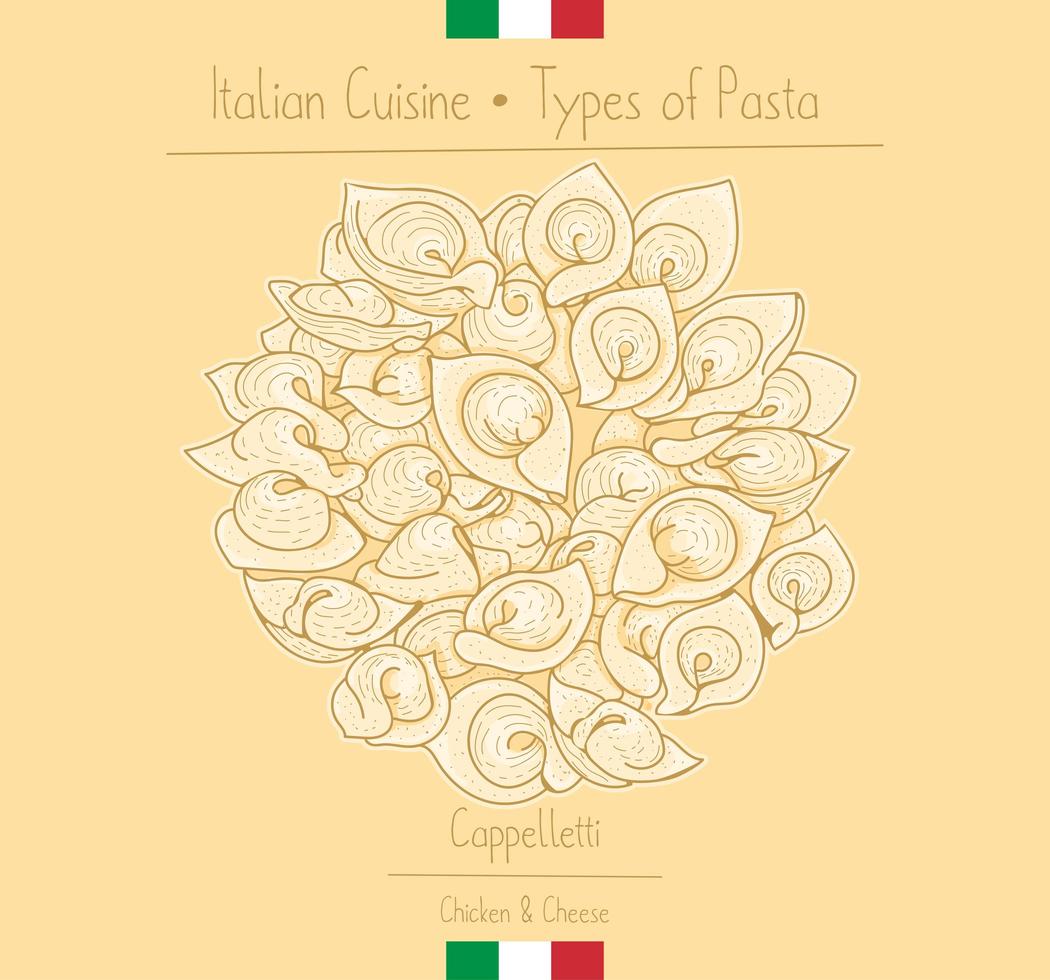 pasta alimentare italiana con ripieno aka cappelletti vettore