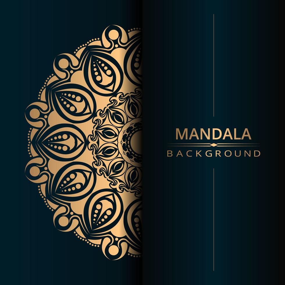 mandala ornamentale card design sfondo vettore