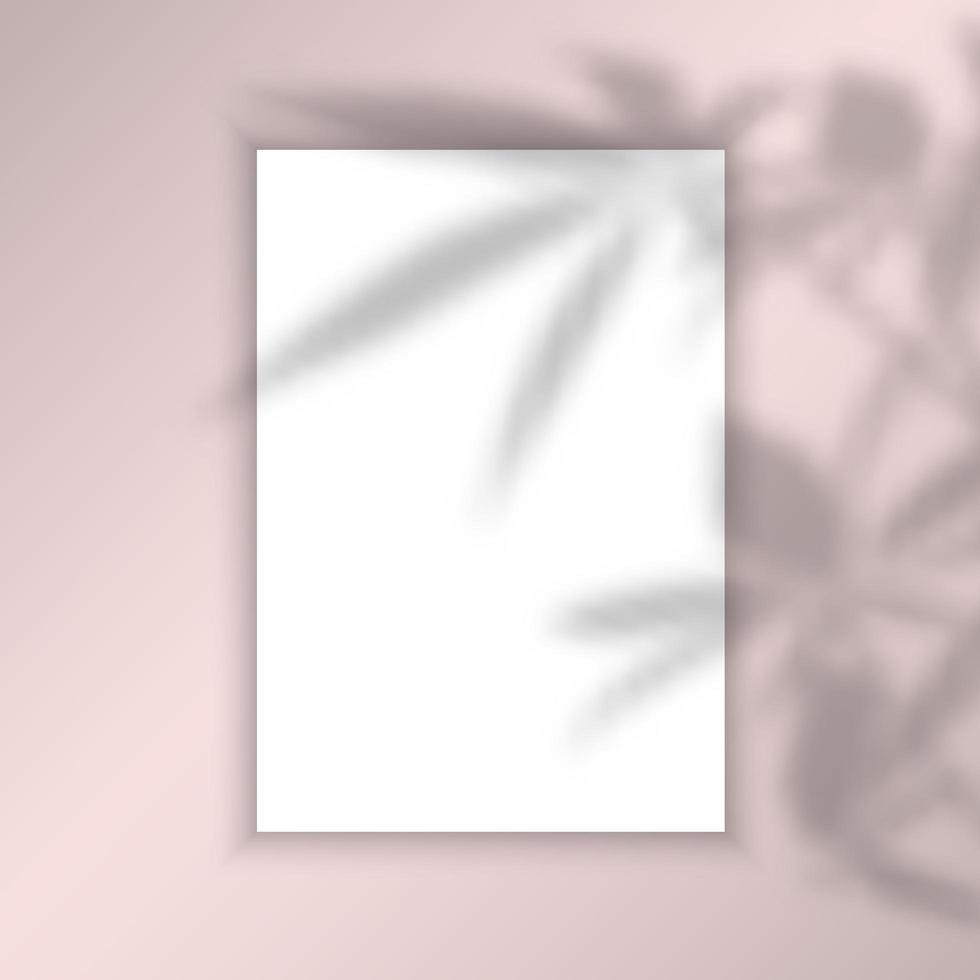 immagine in bianco sfondo con foglie ombra sovrapposizione vettore