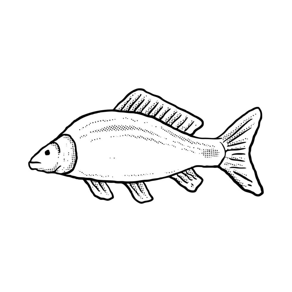 pesce illustrazione mano disegnato cartone animato schizzo Linea artistica Vintage ▾ stile vettore