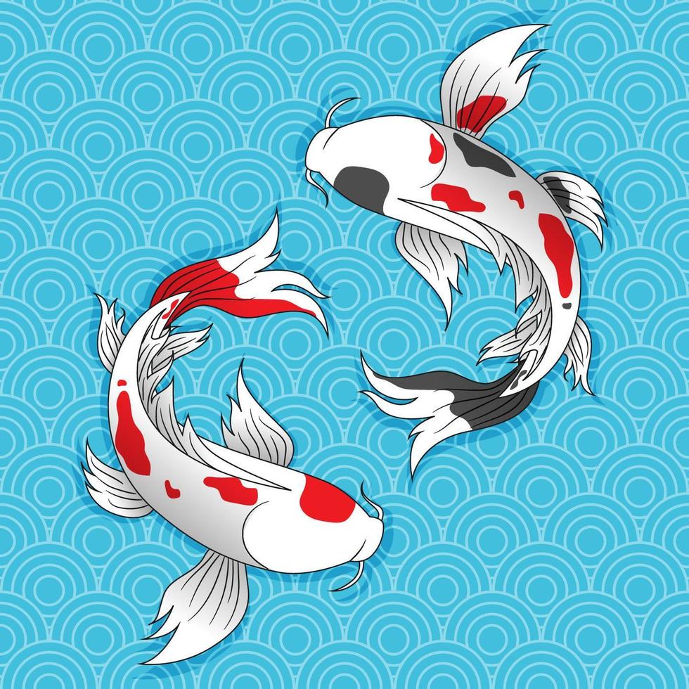 due pesci koi giapponesi nuotano. vettore