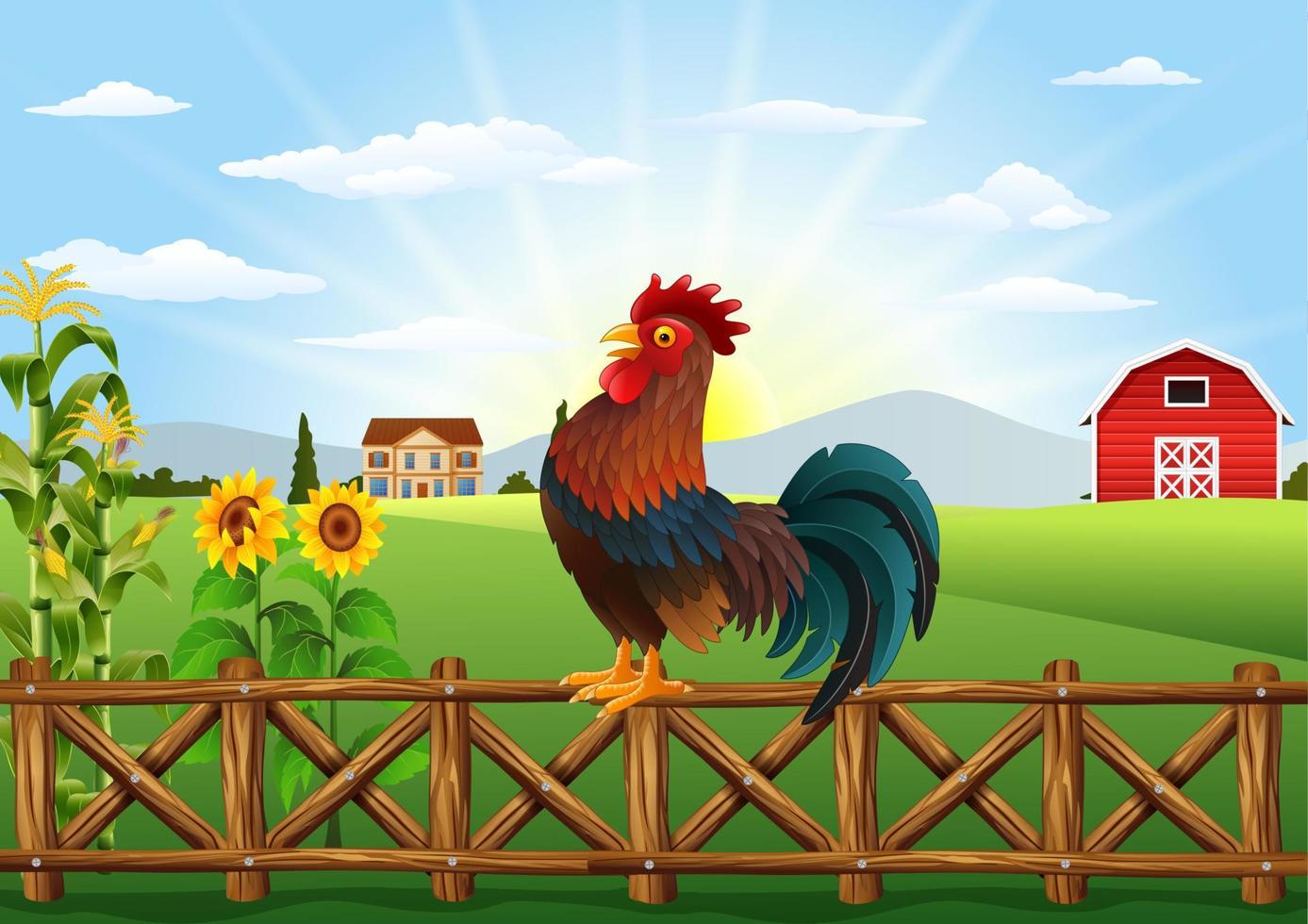 gallo del fumetto che canta al campo dell'azienda agricola al mattino con il sorgere del sole vettore