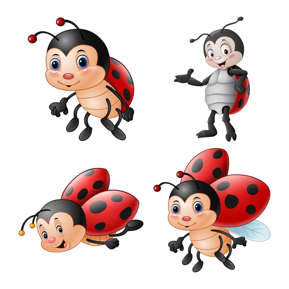 cartone animato divertente coccinella illustrazione collezioni vettore