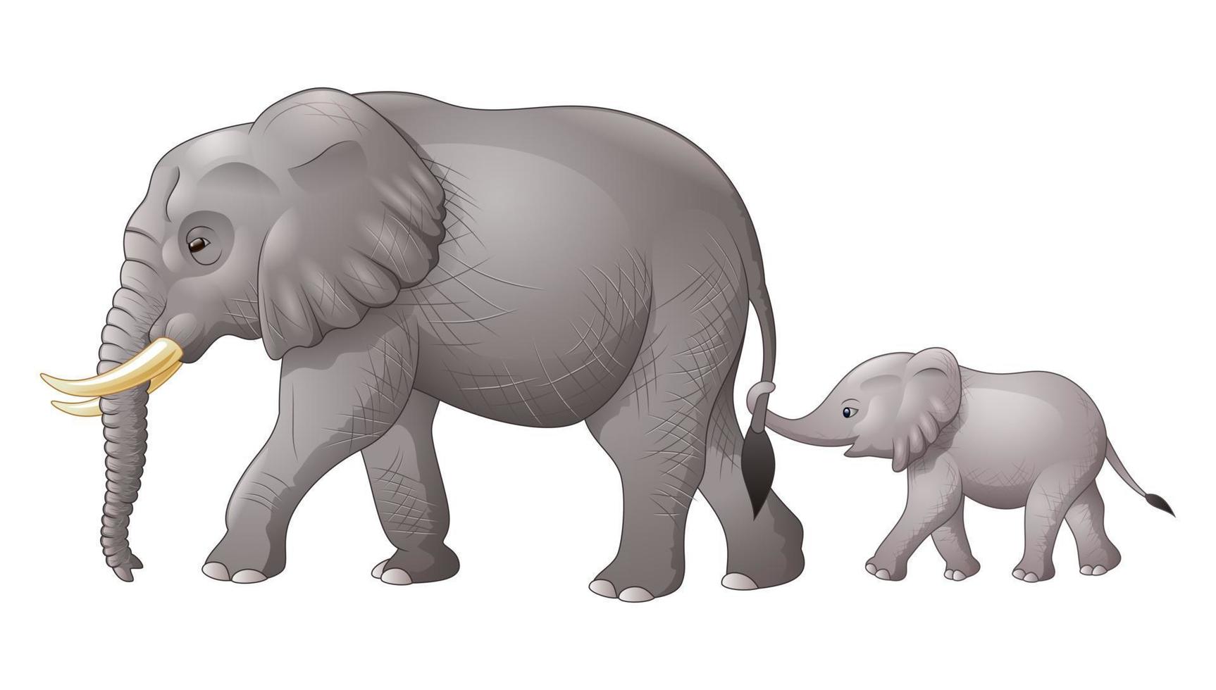 bambino e madre elefante vettore