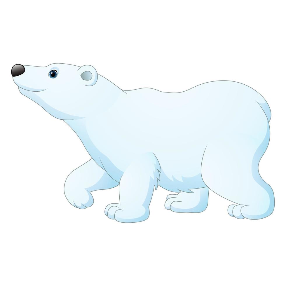 cartone animato orso polare isolato su sfondo bianco vettore