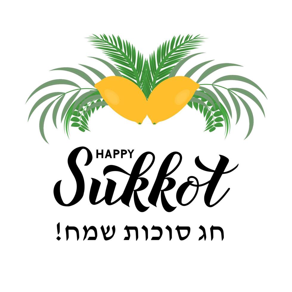 contento sukkot calligrafia lettering con quattro specie. etrog, lulav, arava, hadas le foglie. ebraico tradizionale vacanza celebrazione manifesto. vettore modello