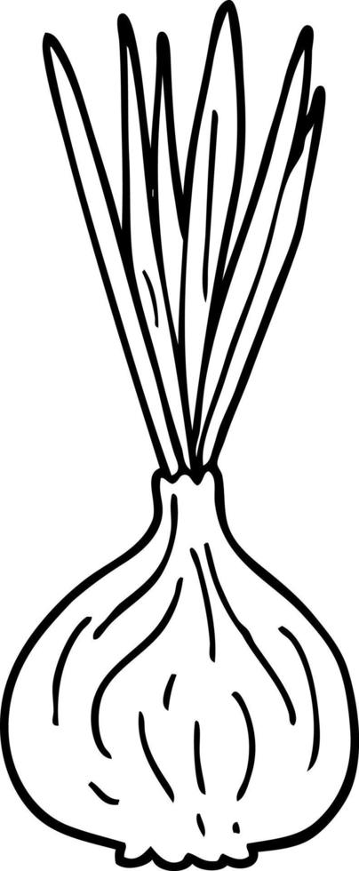 linea disegno cartone animato germinazione cipolla vettore