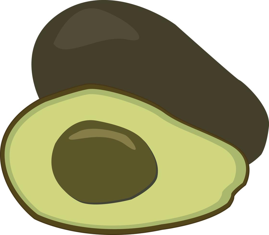 avocado illustrazione frutta piatto design vettore