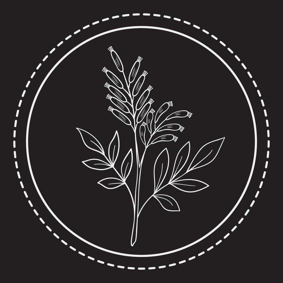 amaro erbe aromatiche p 1 logo 1 vettore