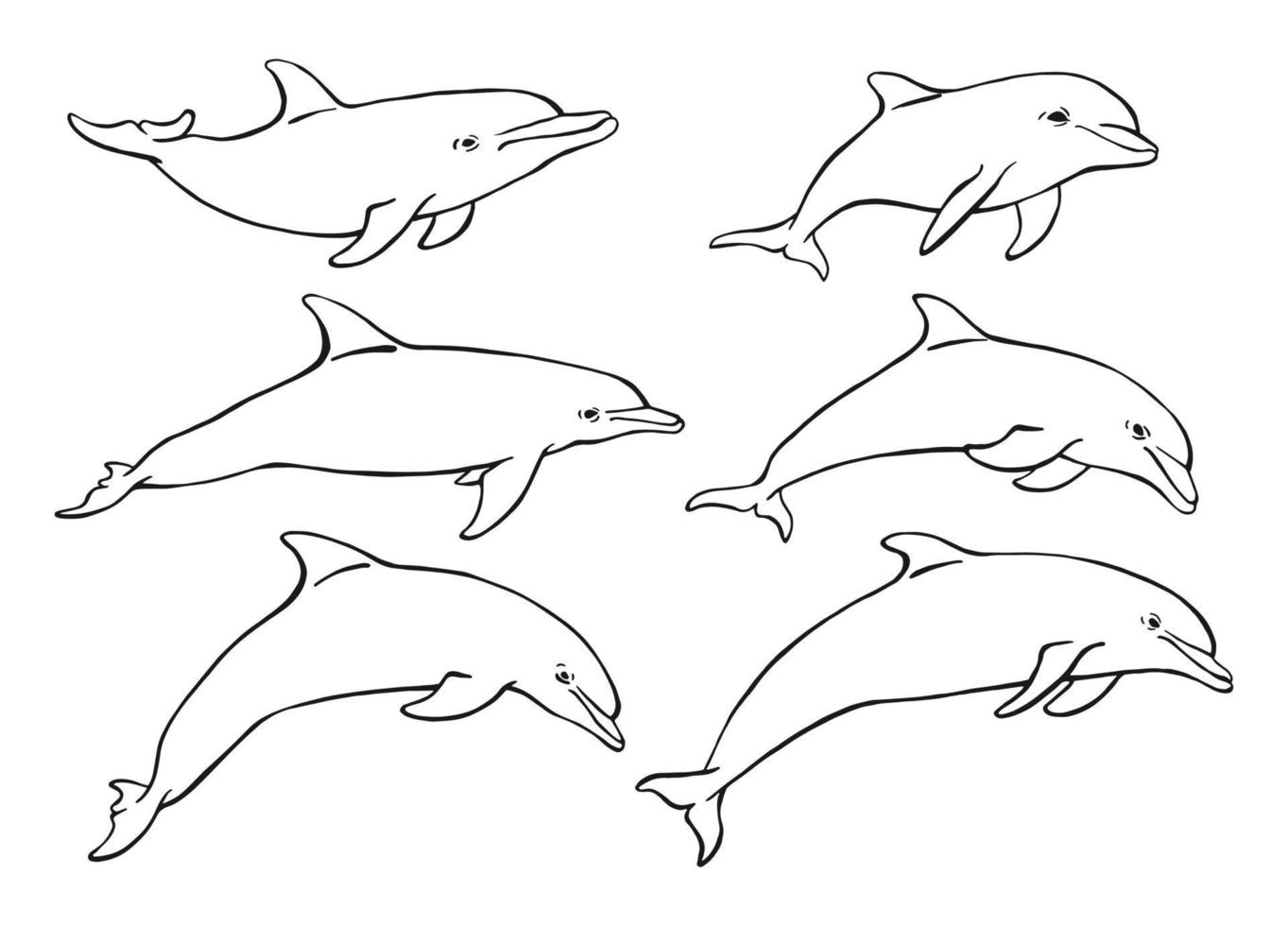 set di delfini. illustrazione disegnata a mano convertita in vettore. vettore con animali sott'acqua.