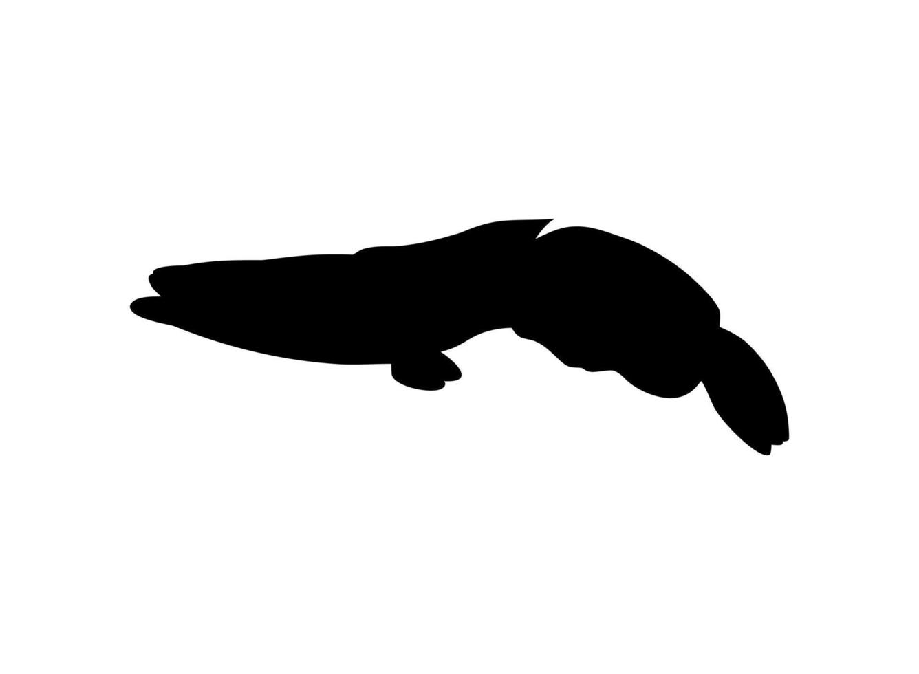 serpente testa pesce, d'acqua dolce perciform pesce famiglia cannidi, silhouette per logo, pittogramma o grafico design elemento. vettore illustrazione