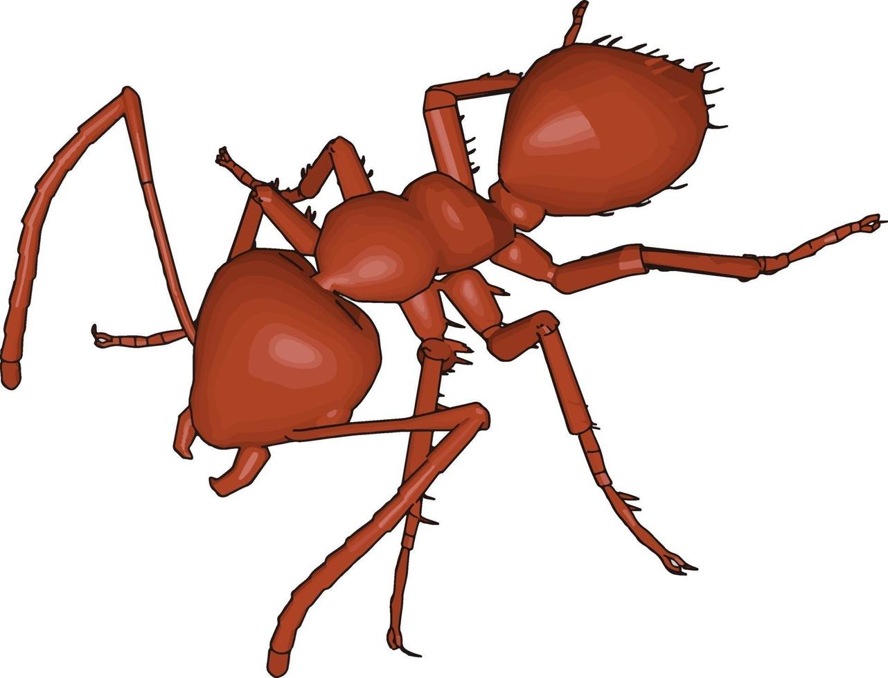 3d Marrone formica, illustrazione, vettore su bianca sfondo.
