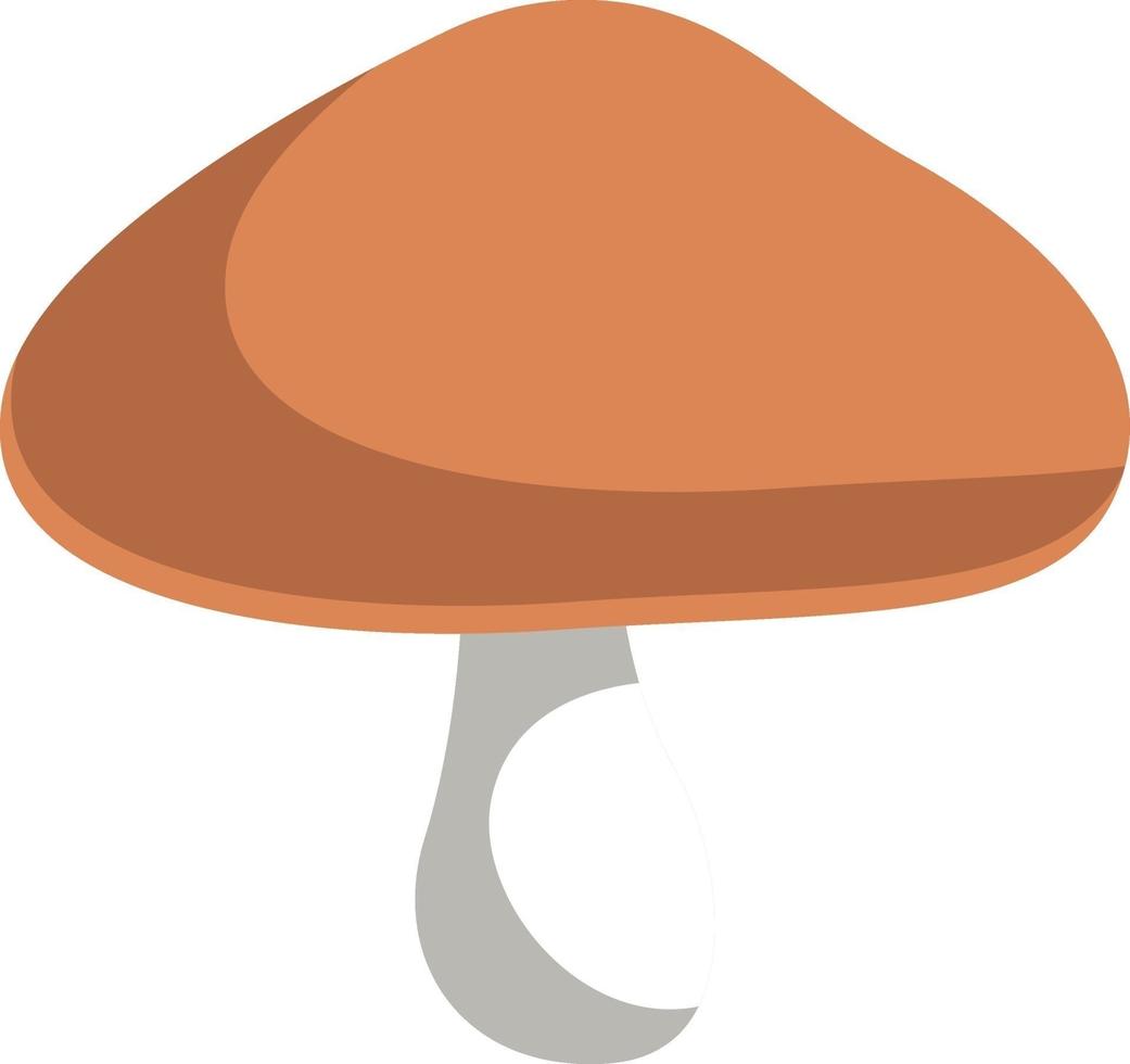 Marrone fungo, illustrazione, vettore su bianca sfondo