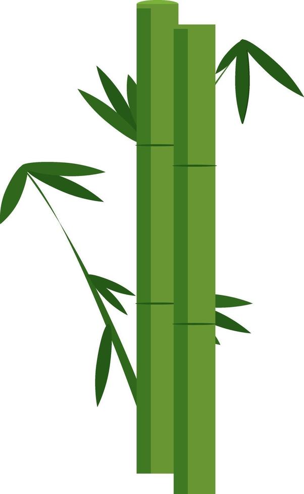 alto bambù, illustrazione, vettore su un' bianca sfondo.