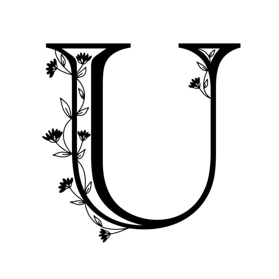 alfabeto botanico floreale. lettera monogramma disegnata a mano vintage u. lettera con piante e fiori. scritte vettoriali isolate su bianco