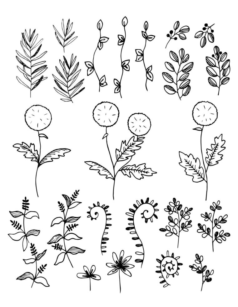 impostato di ramoscelli, erba, fiori di diverso forme. scarabocchio stile schema, schizzo, silhouette. vettore