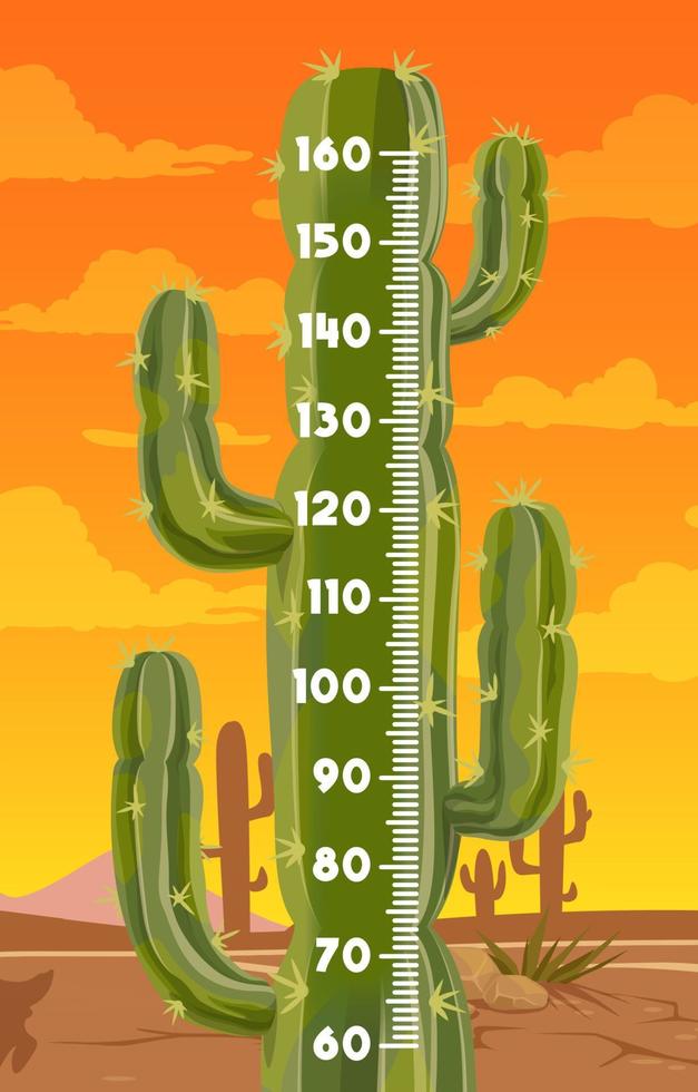 cactus nel messicano deserto bambini altezza grafico vettore