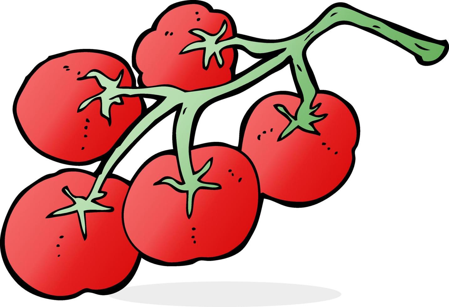 pomodori su vite illustrazione vettore