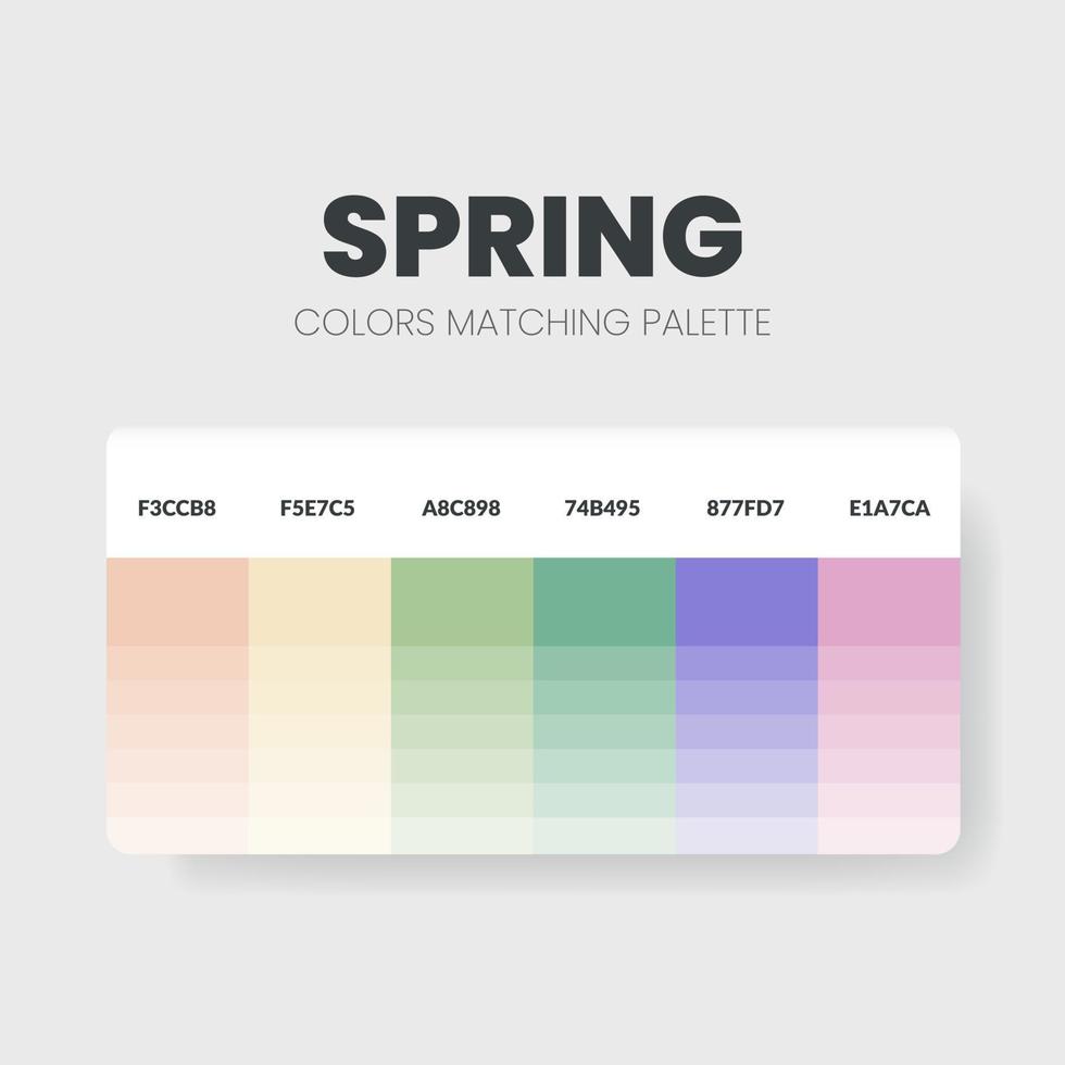 le tavolozze dei colori primaverili o le combinazioni di colori sono combinazioni di tendenze e guide alle tavolozze quest'anno, una tabella di sfumature di colore in rgb o esadecimale. un campione di colore per una moda primaverile, per la casa o per l'interior design vettore