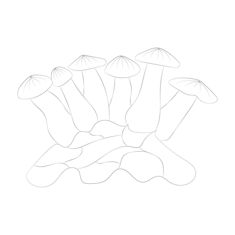 disegni da colorare di funghi vettore