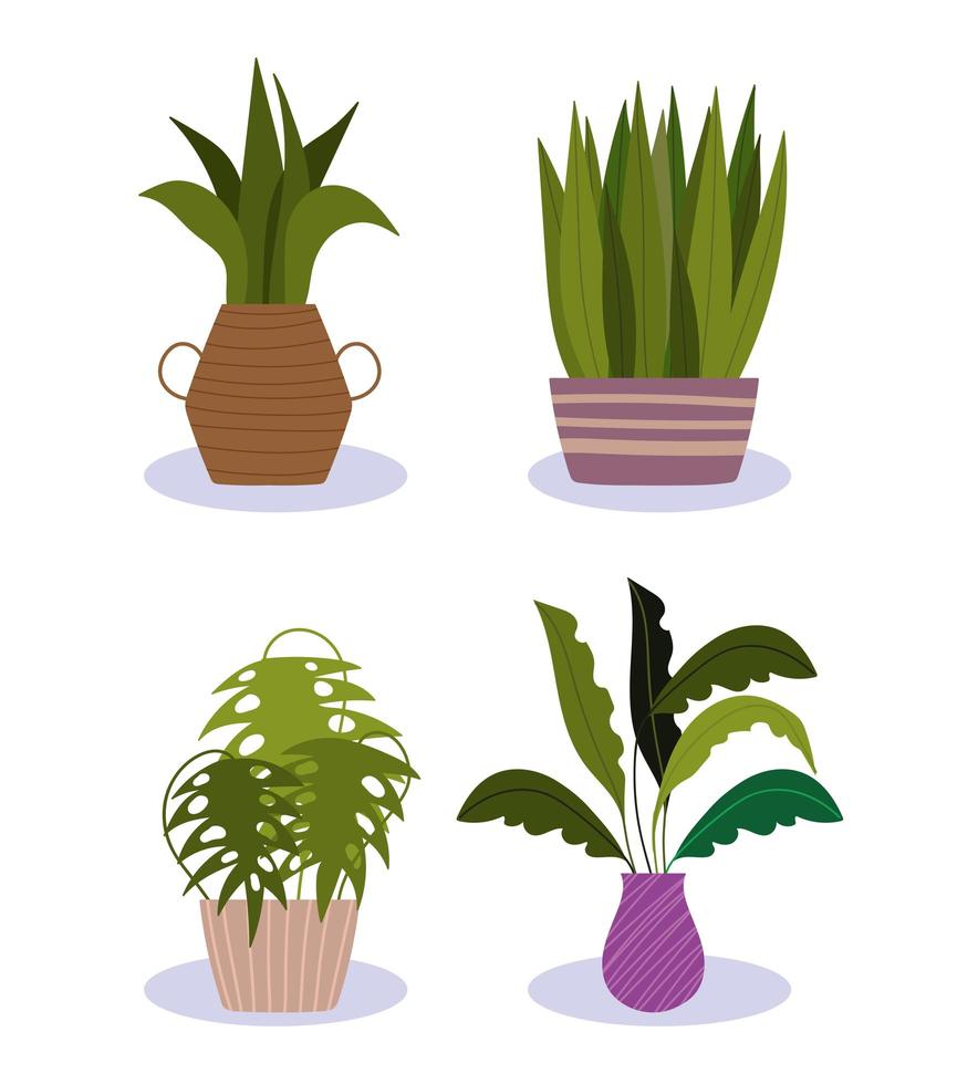 set di piante in vaso vettore
