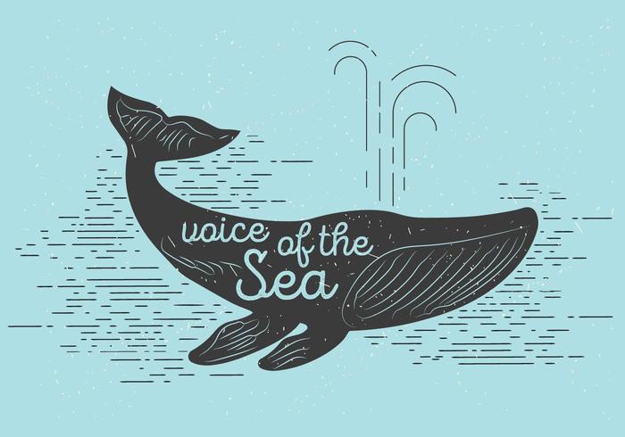 Vector Whale gratis