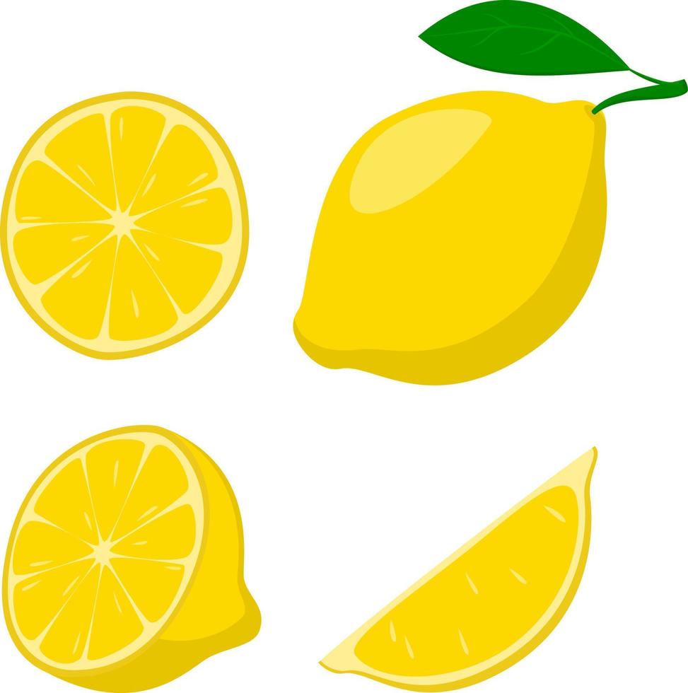 fresco Limone frutta, Limone, totale frutta, metà e fette, vettore illustrazione, collezione di illustrazioni isolato su bianca sfondo