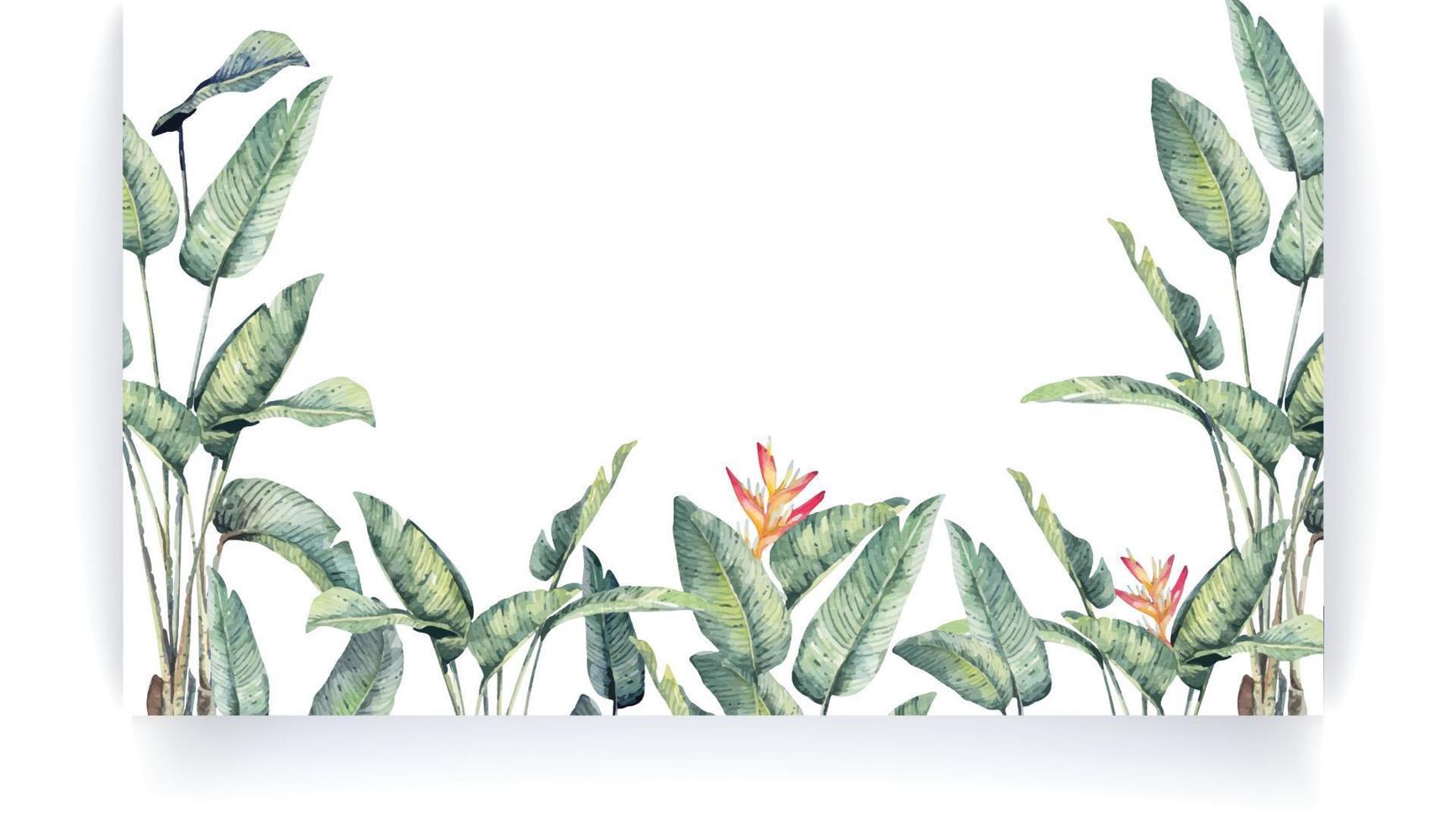 telaio uccello di Paradiso con acquerello tropicale le foglie sfondo.mano disegnato rami e le foglie di tropicale impianti con spazio per testo.naturale verde sfondo e sfondo. vettore