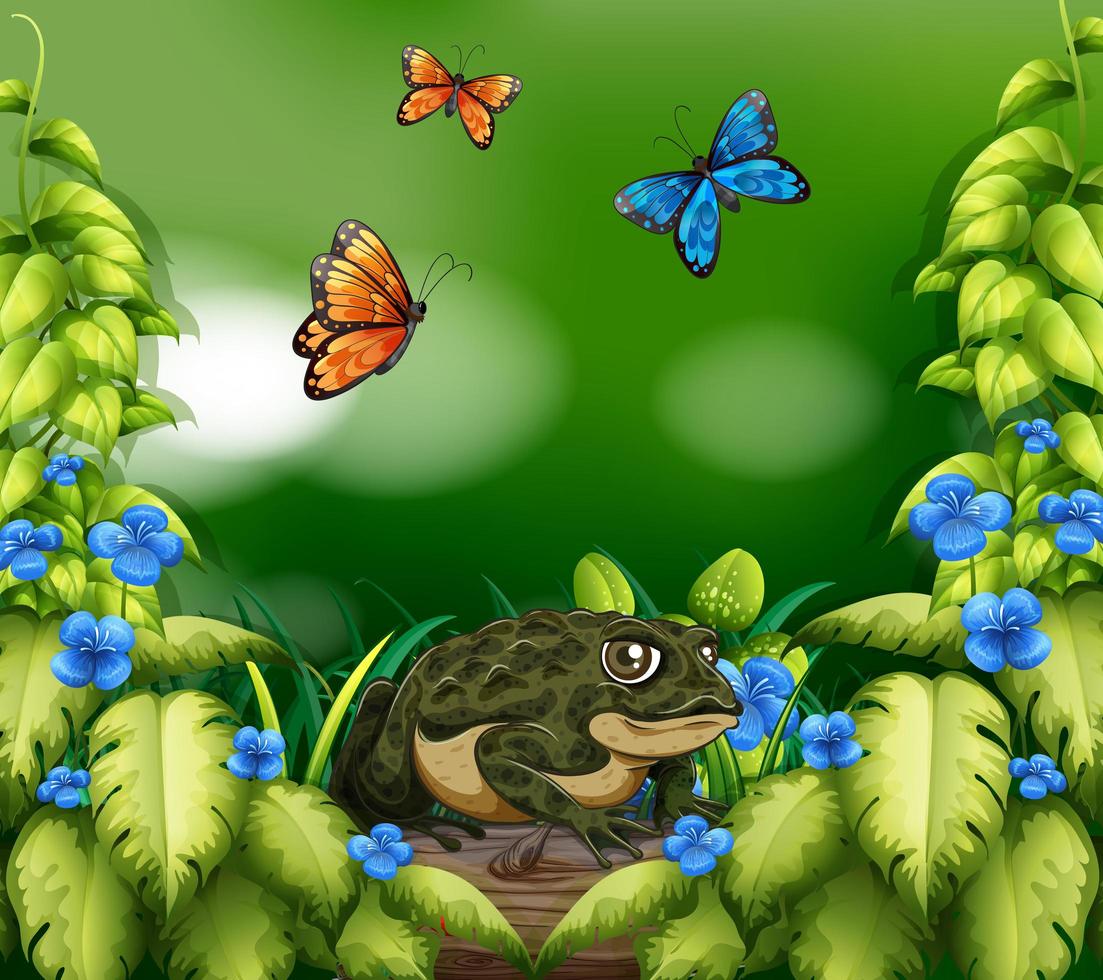 scena di paesaggio con rana e farfalle vettore