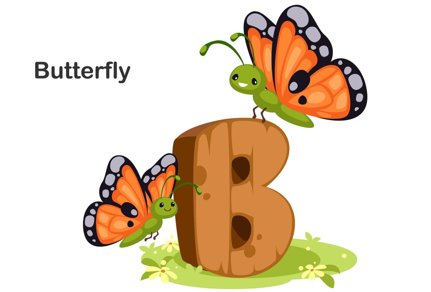 b per farfalla vettore