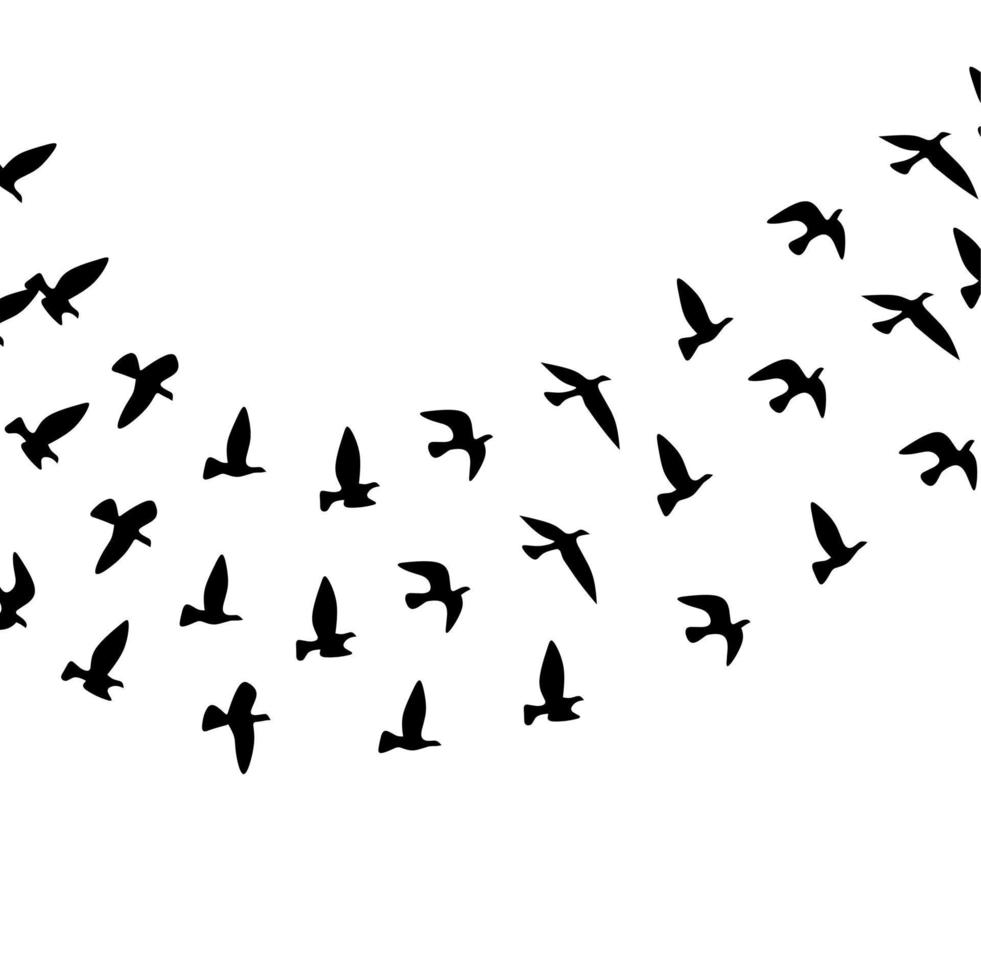 silhouette di un' gruppo di volante uccelli. isolato su un' bianca sfondo. vettore illustrazione