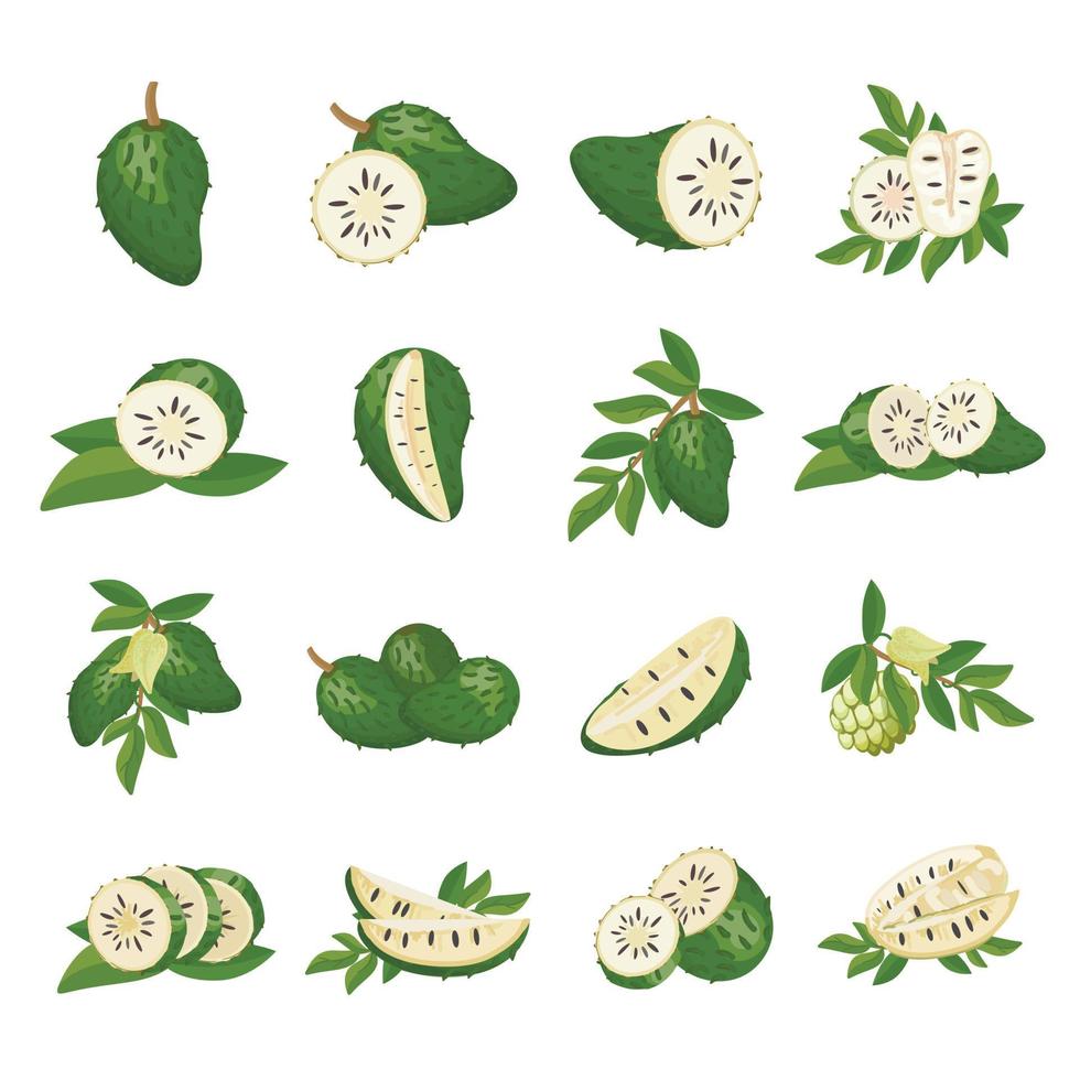 soursop icone impostato cartone animato vettore. muricata frutta vettore