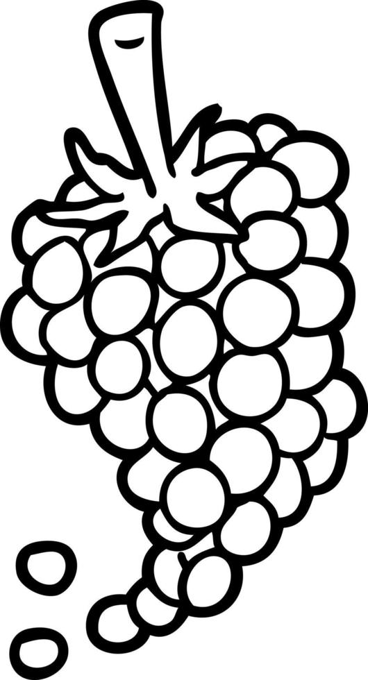 linea disegno di un' mazzo di uva vettore