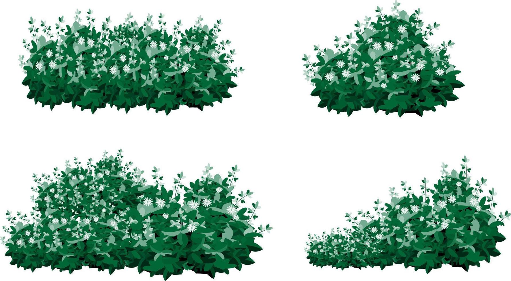 impostato di ornamentale verde pianta nel il modulo di un' siepe.realistico giardino arbusto, di stagione cespuglio, bosso, albero corona cespuglio fogliame. vettore