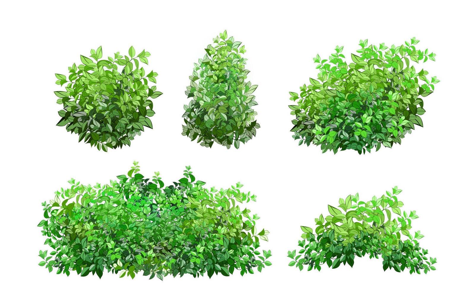 impostato di ornamentale verde pianta nel il modulo di un' siepe.realistico giardino arbusto, di stagione cespuglio, bosso, albero corona cespuglio fogliame. vettore