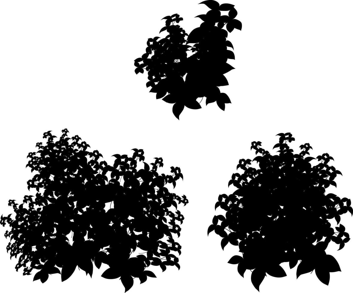 impostato di ornamentale nero pianta nel il modulo di un' siepe.realistico giardino arbusto, di stagione cespuglio, bosso, albero corona cespuglio fogliame. vettore