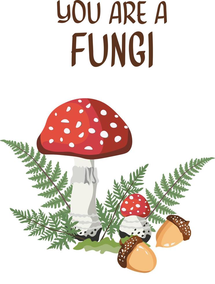 autunno funghi composizioni isolato vettore illustrazione su bianca sfondo