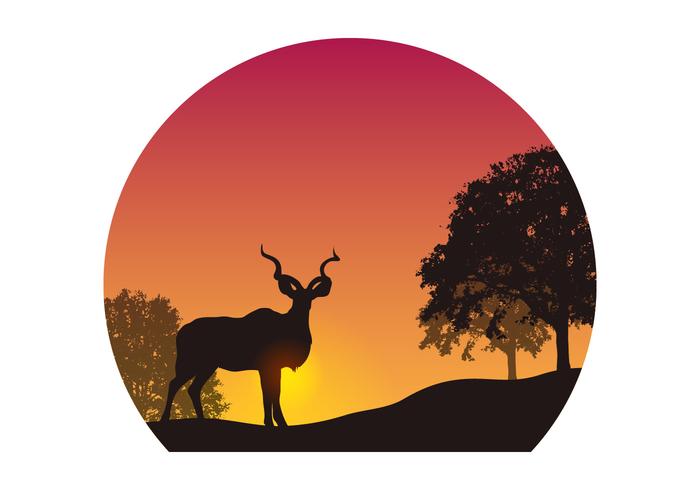 vettore di sagoma kudu