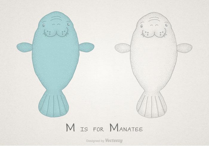 Manatee di vettore disegnato a mano libera