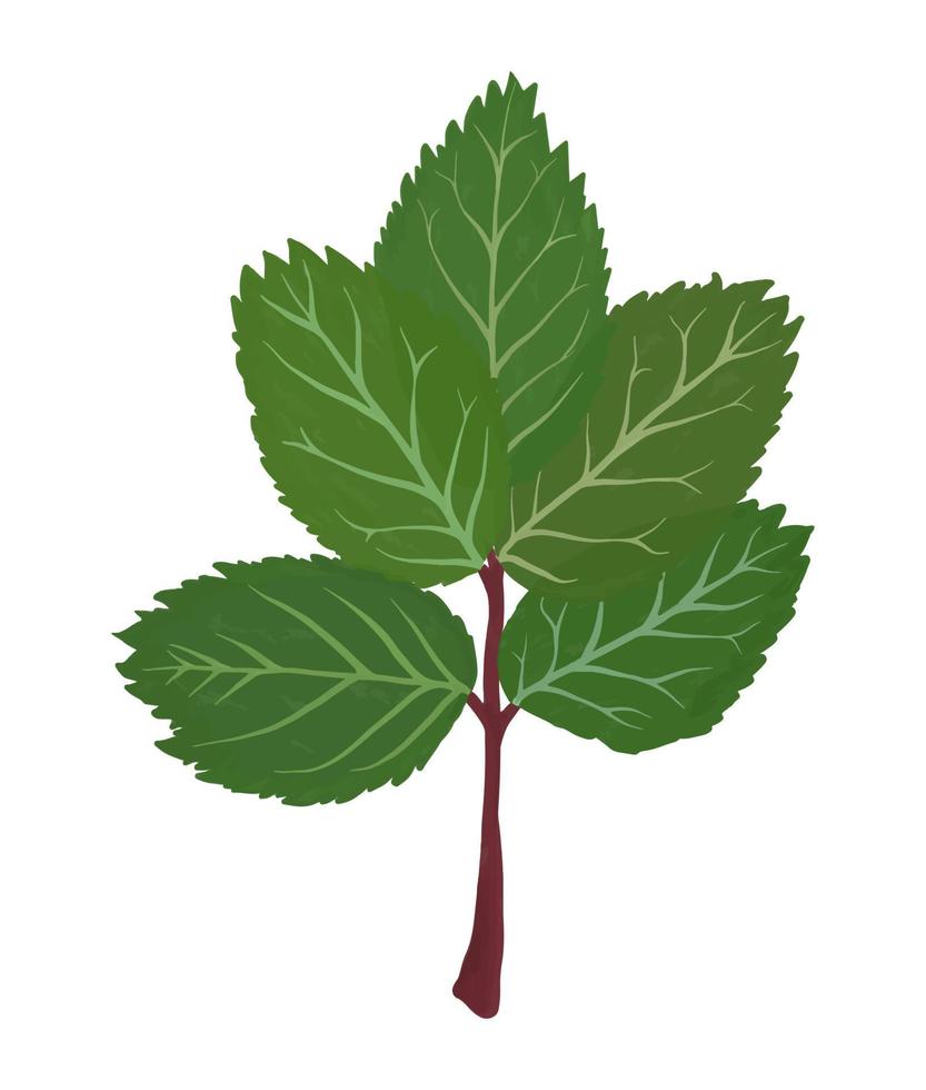 rosa le foglie guazzo piatto illustrazione. verde le foglie isolato su bianca sfondo per involucro carta, sfondo vettore