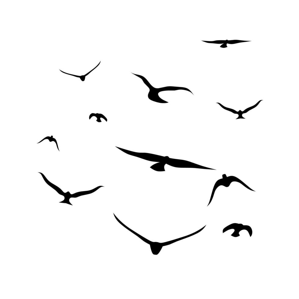 sagome di un' gruppo di corvi volante insieme. isolato su un' bianca sfondo. grande per Halloween e orrore a tema manifesti. vettore