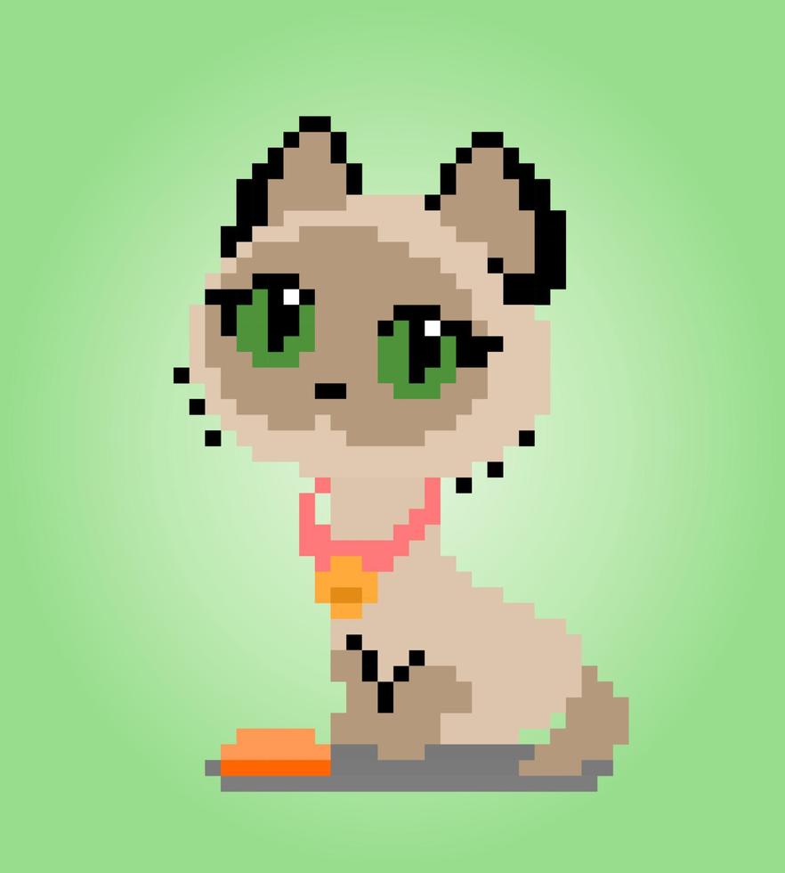 pixel 8 bit gatto siamese. animali per le risorse di gioco nell'illustrazione vettoriale. vettore