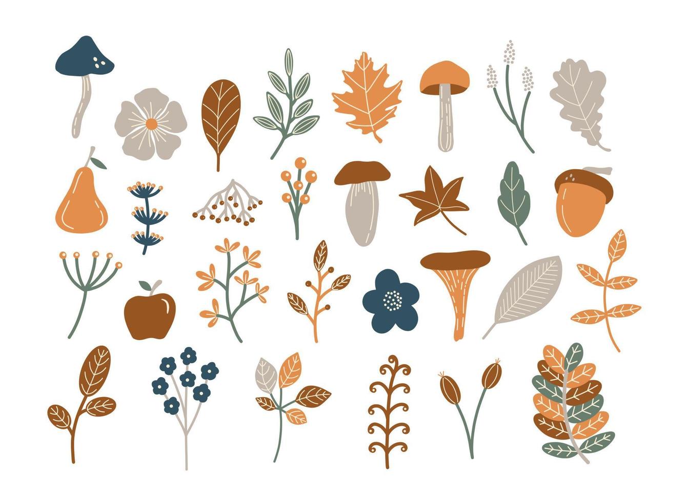 autunno botanici vettore illustrazione clip arte impostato