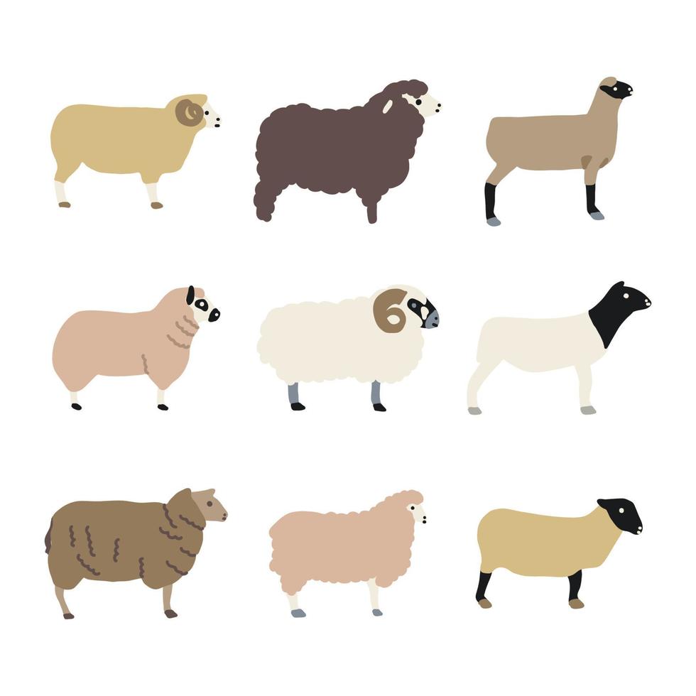 collezione di pecore vettore