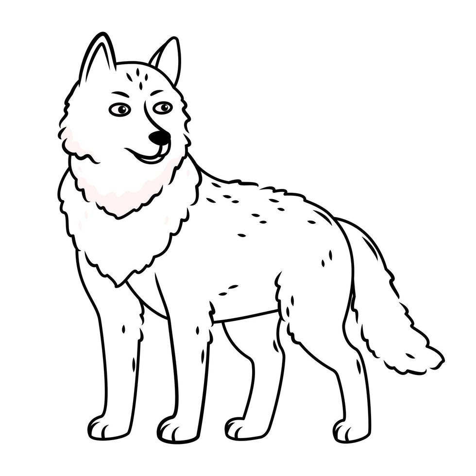 un' grigio lupo sta su un' bianca sfondo. contorno Immagine. vettore illustrazione con carino foresta animali nel cartone animato stile.