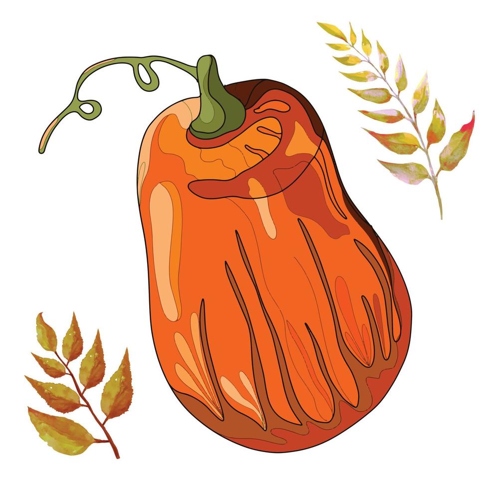 zucca verdura e albero foglia autunno illustrazione vettore