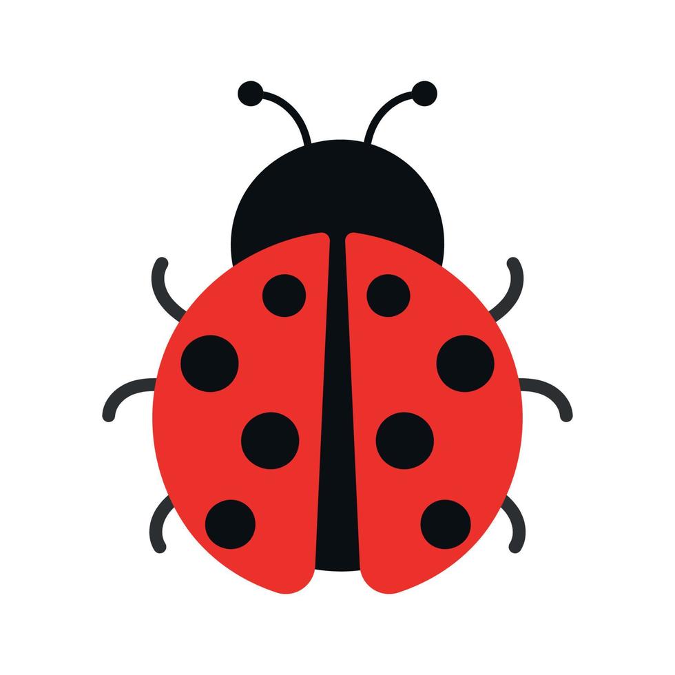 carino coccinella insetto animale animato vettore illustrazione