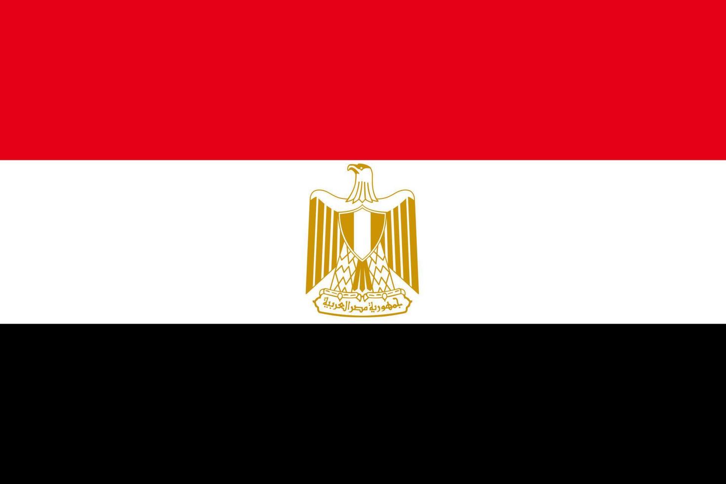 bandiera di Egitto. simbolo di indipendenza giorno, souvenir sport gioco, pulsante linguaggio, icona. vettore