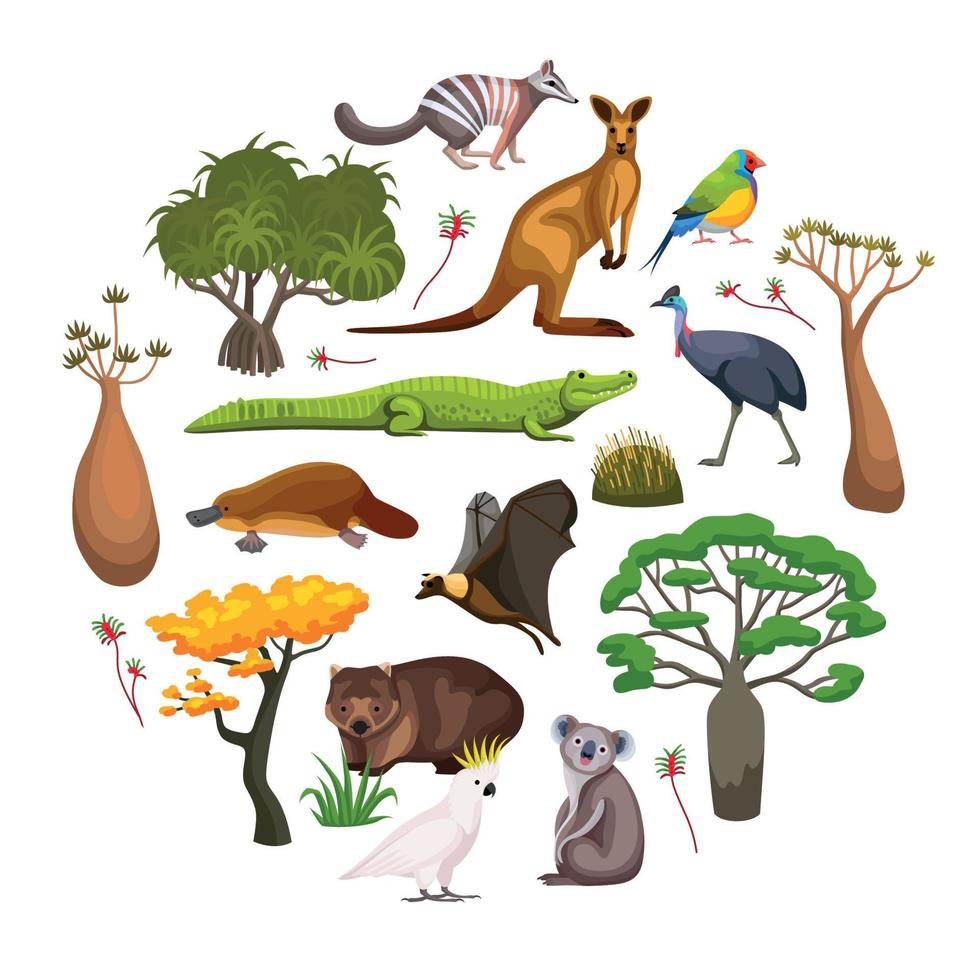 Australia flora fauna composizione vettore